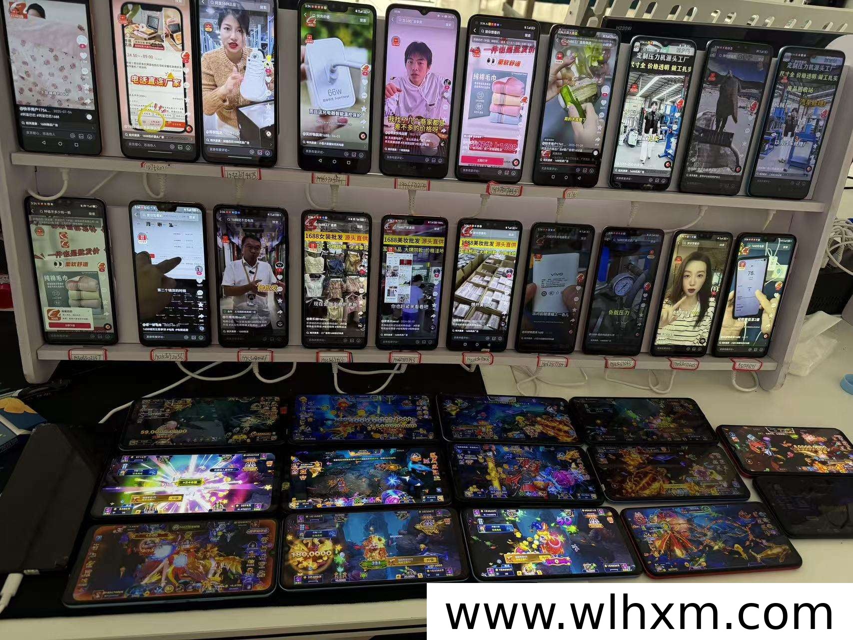 赛博专属模式：合规轻创项目全案解析