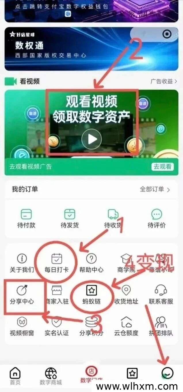 华夏数据零成本项目解析:2026年值得关注的创新风口