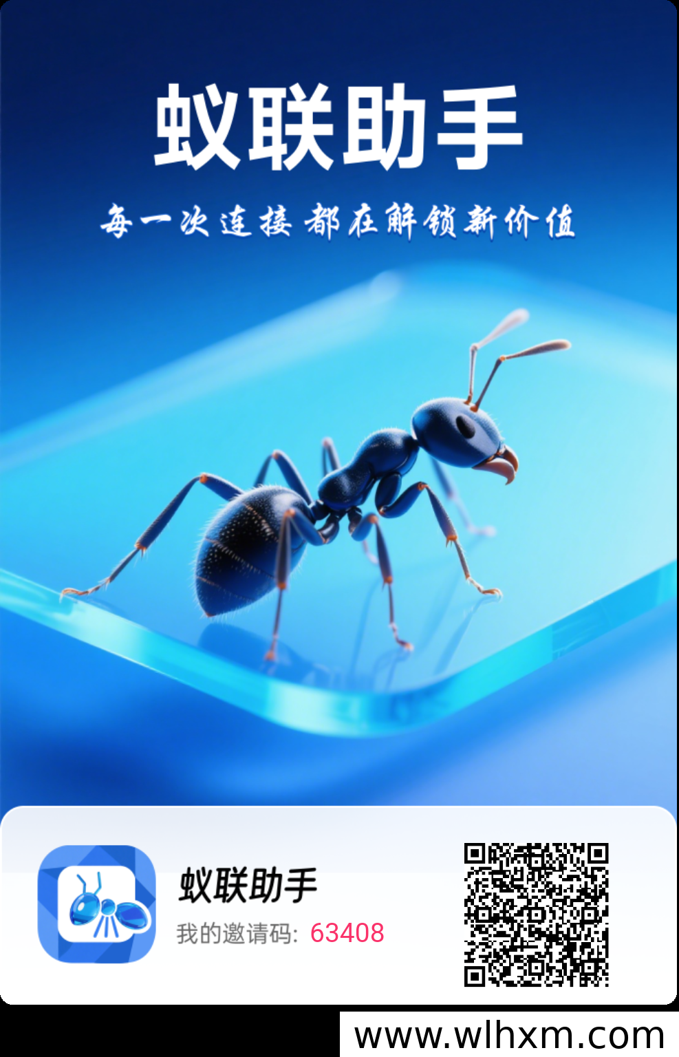 蚁联助手新用户扶持活动介绍