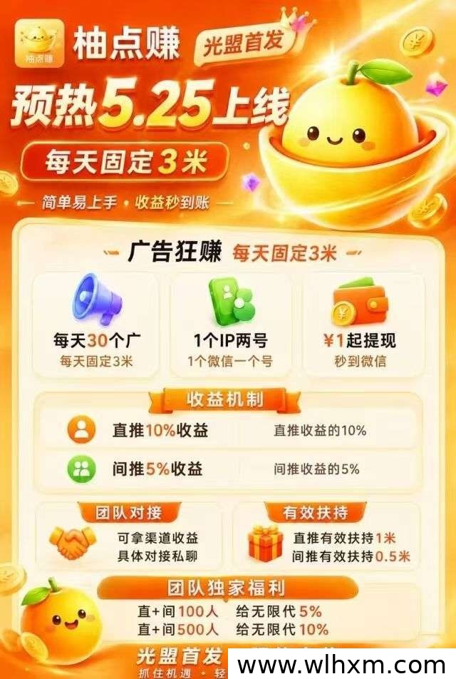 柚点赚零撸新模式：稳定收益与团队扶持详解
