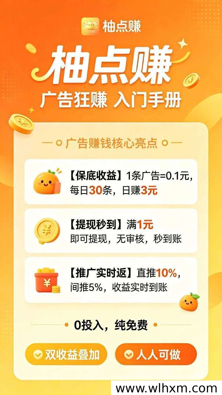 柚点赚零撸新模式:稳定收益与团队扶持详解