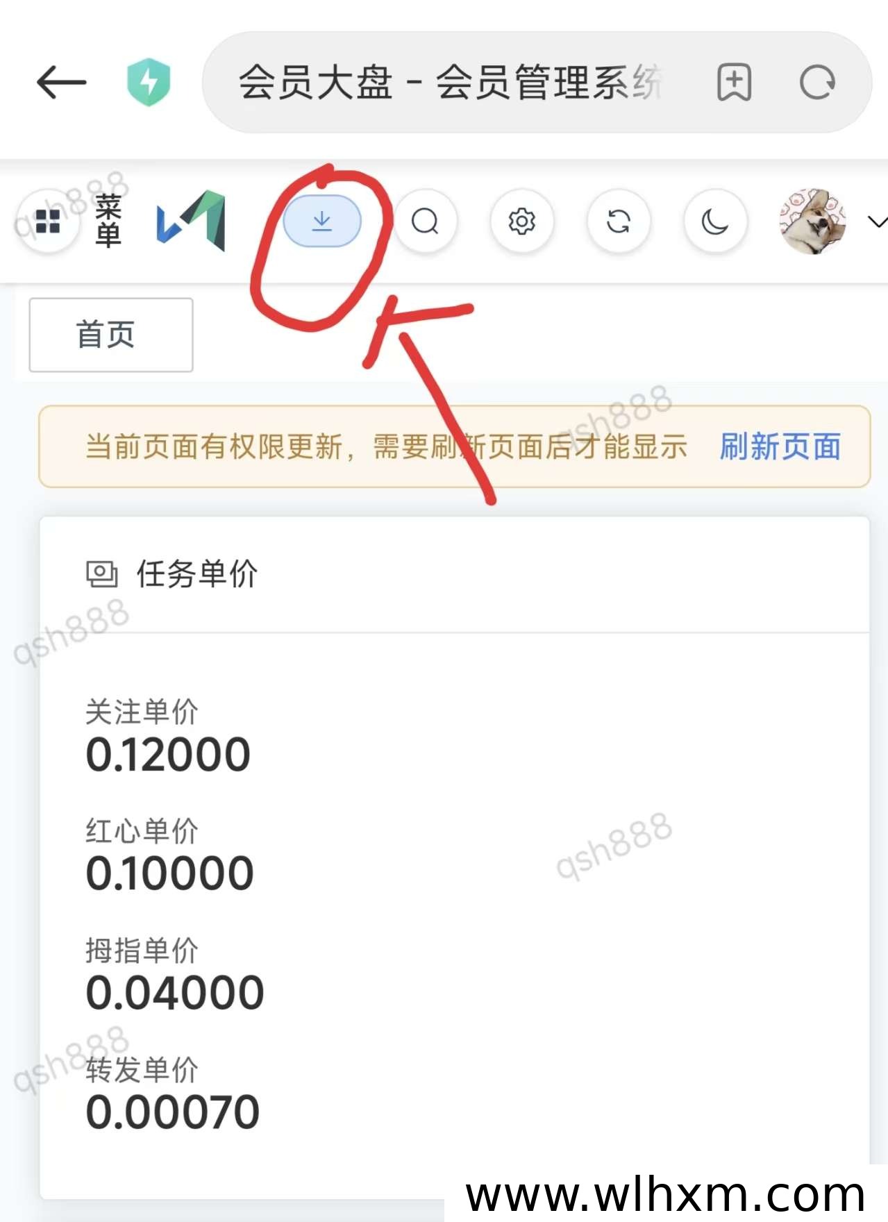 视频号挂机项目解析:日收益稳定,团队招募正当时