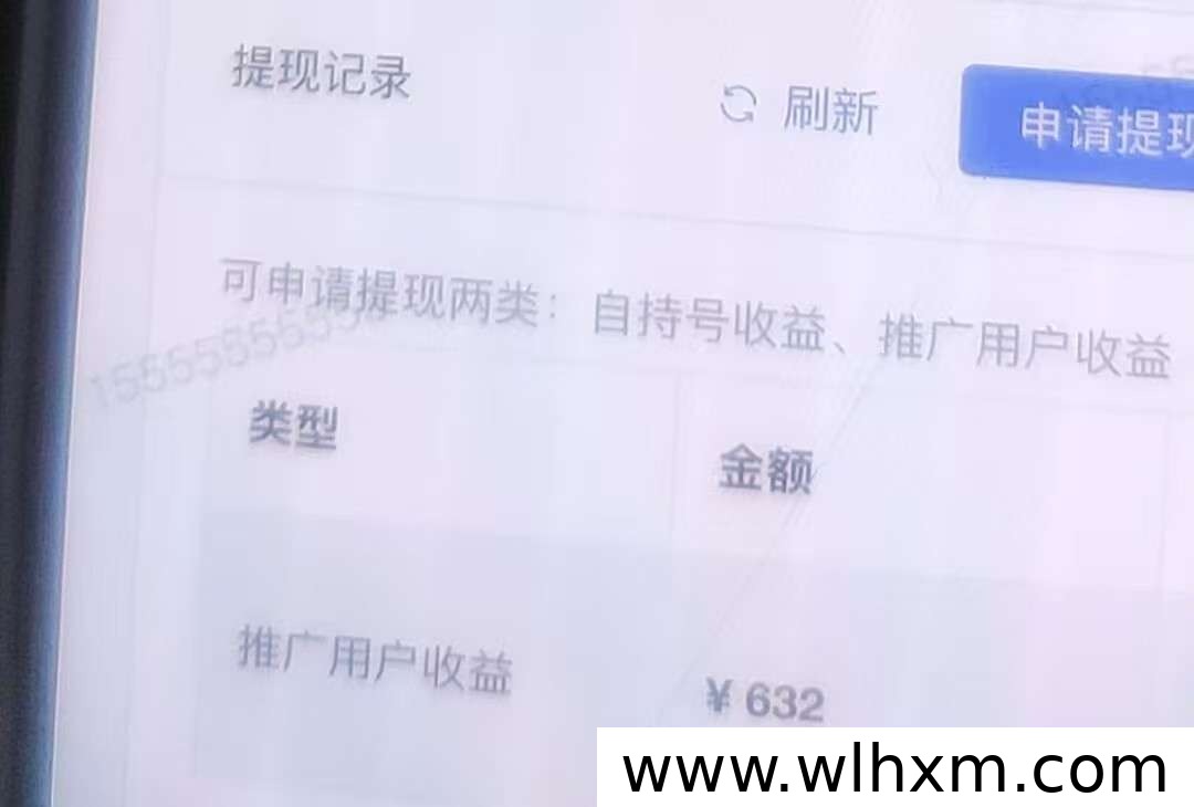 视频号挂机项目解析:日收益稳定,团队招募正当时