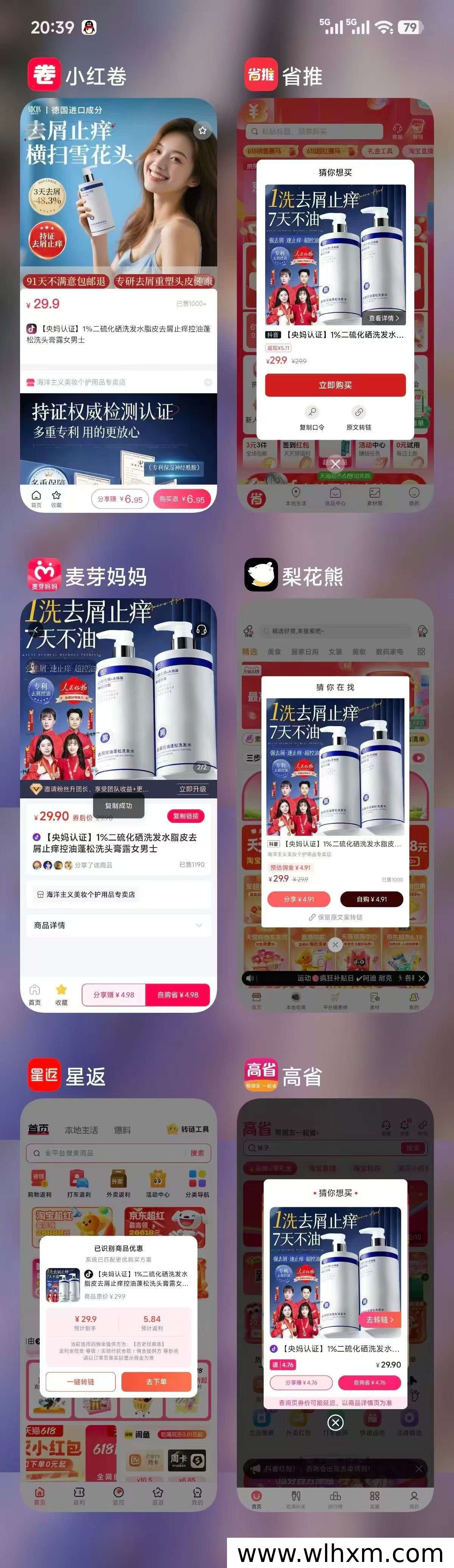 小红卷优势解析:社交电商返利平台新选择