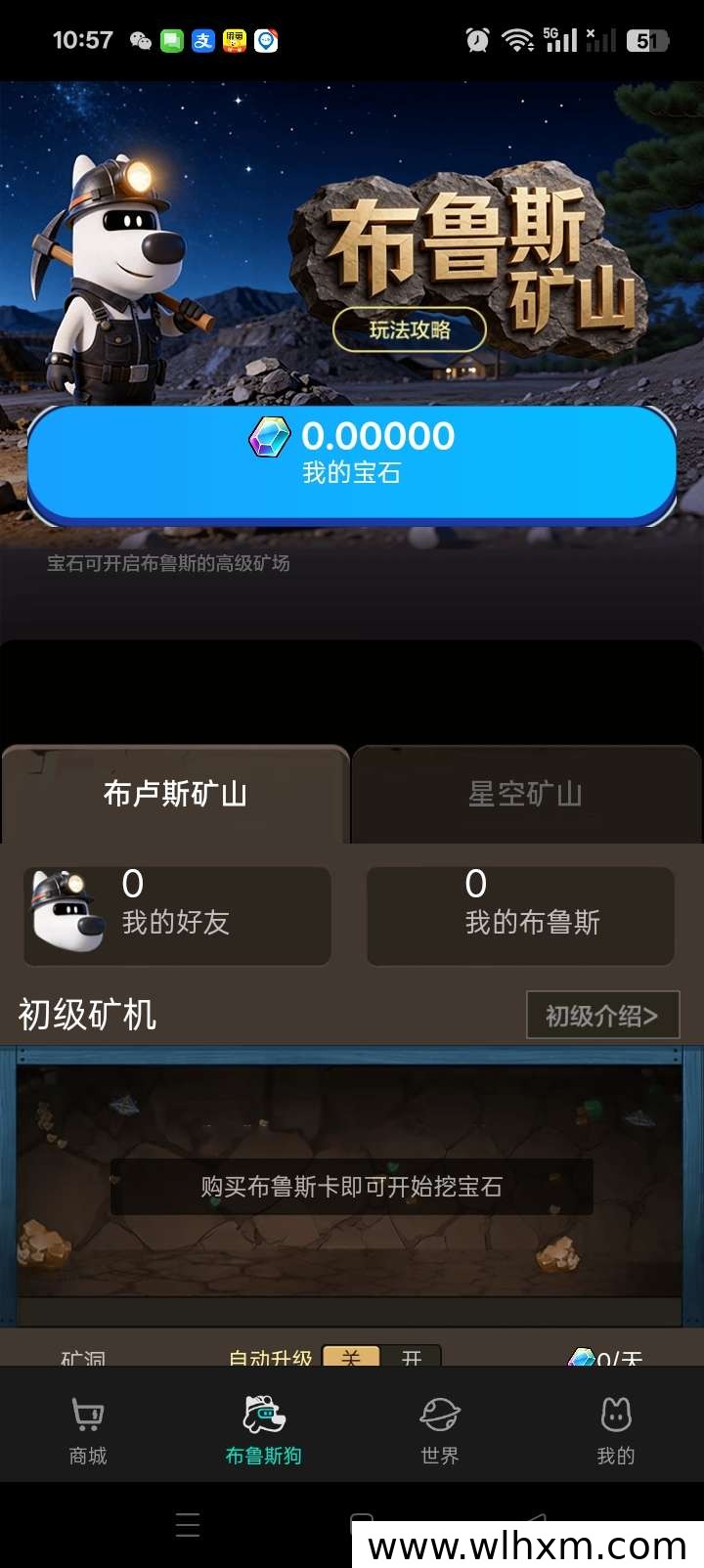 布鲁斯矿工新手上手指南:双积分收益模式详解