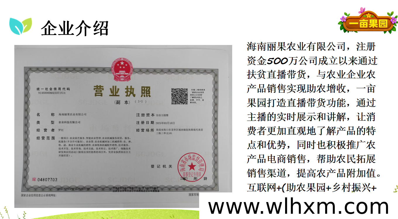 一亩果园:开启绿色农业新体验,智慧经营助农增收