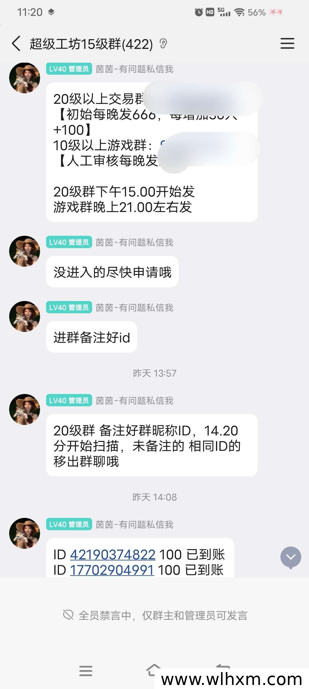 新手零门槛项目推荐:高扶持奖励机制详解