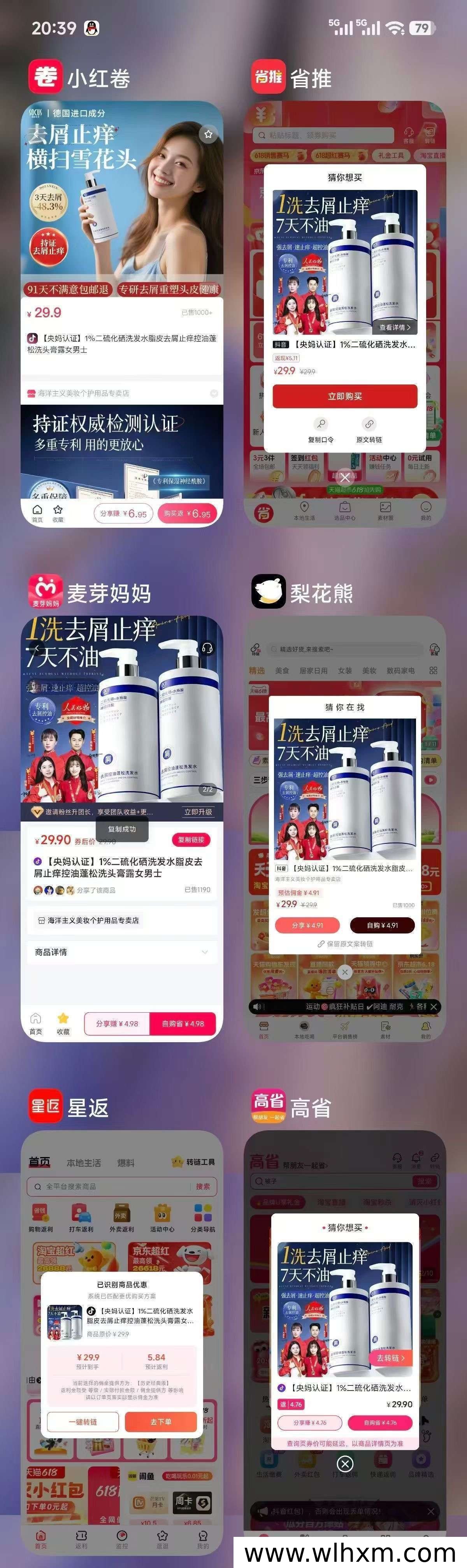 小红卷平台优势解析:高佣金与灵活政策的返利新选择
