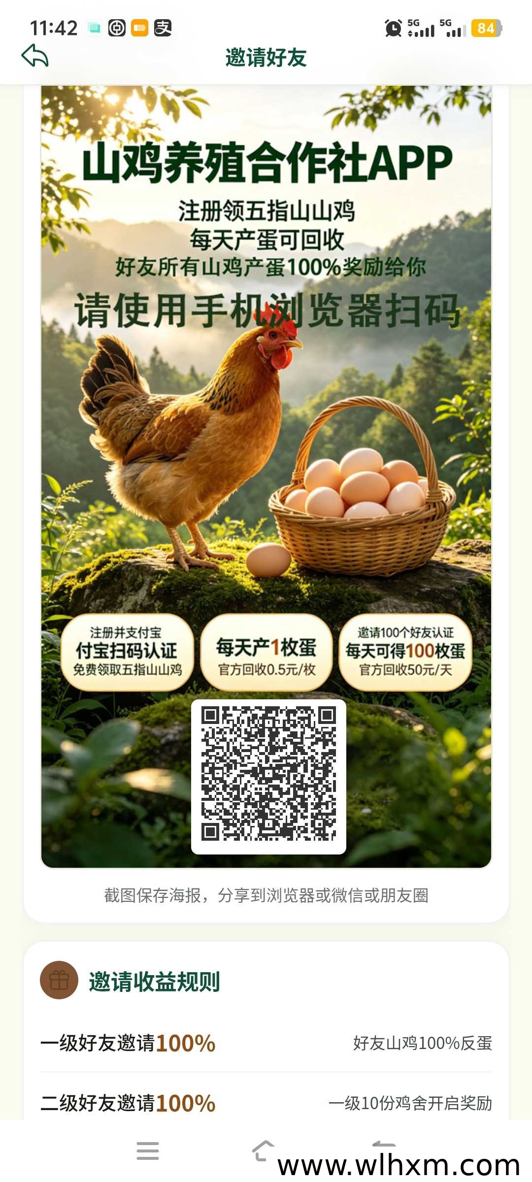 山鸡合作社项目介绍:注册拉新即可获得收益