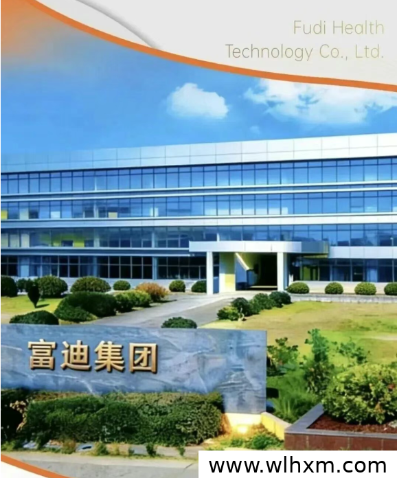 2026年大健康轻创业新选择:富迪新思域低门槛模式解析