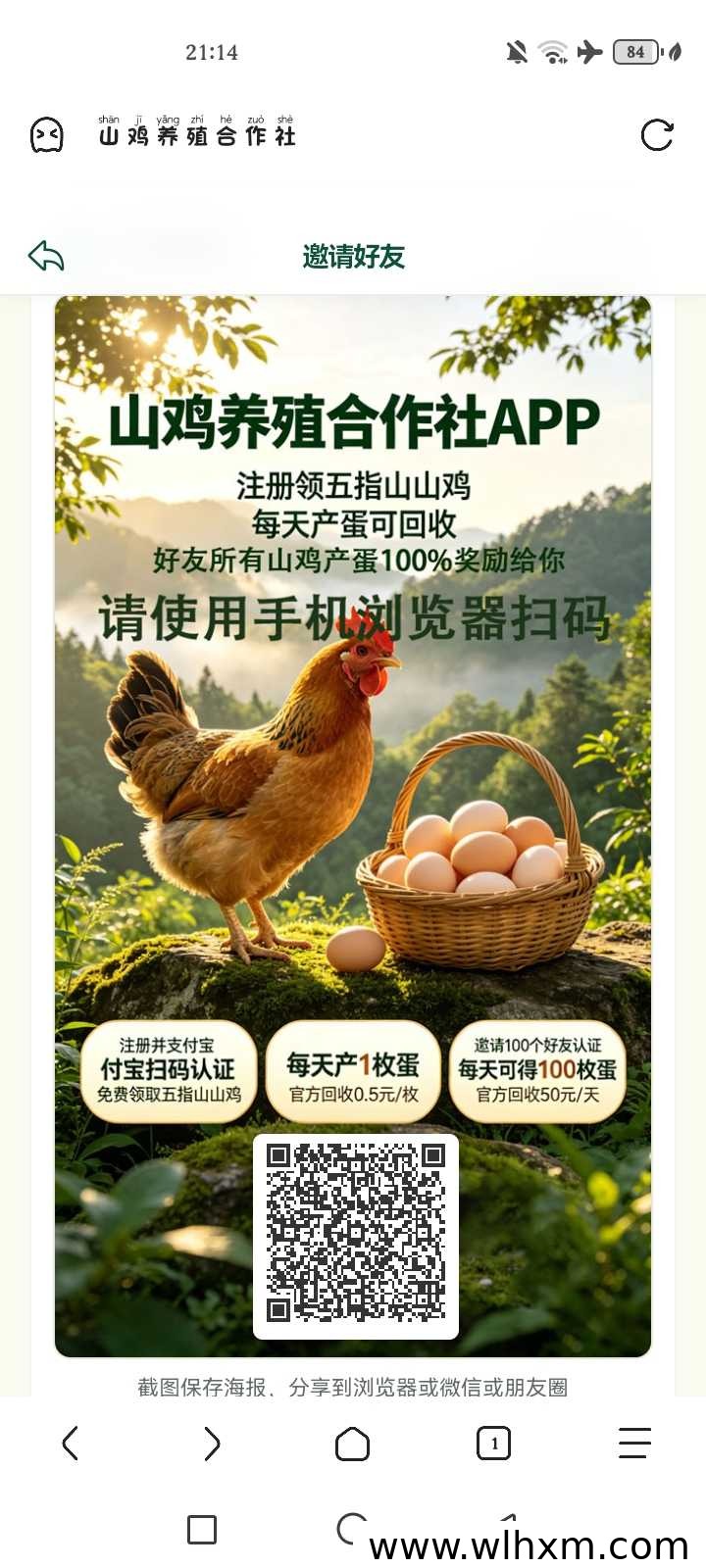 五指山山鸡养殖合作项目 免费领鸡每日回收鸡蛋