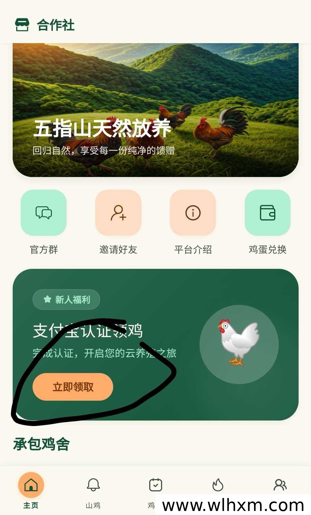 五指山山鸡养殖合作项目 免费领鸡每日回收鸡蛋