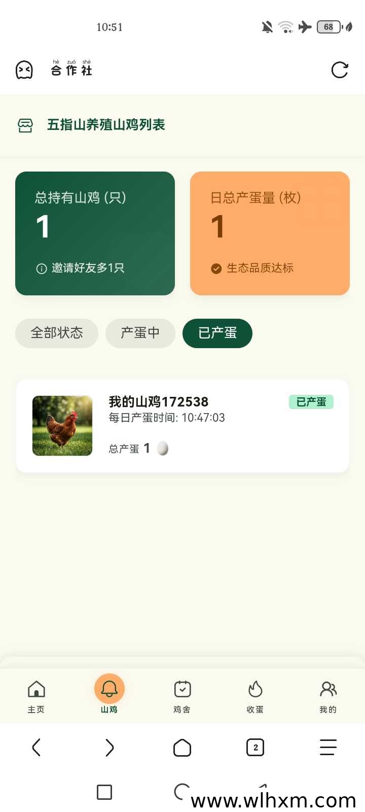 五指山山鸡养殖合作项目 免费领鸡每日回收鸡蛋