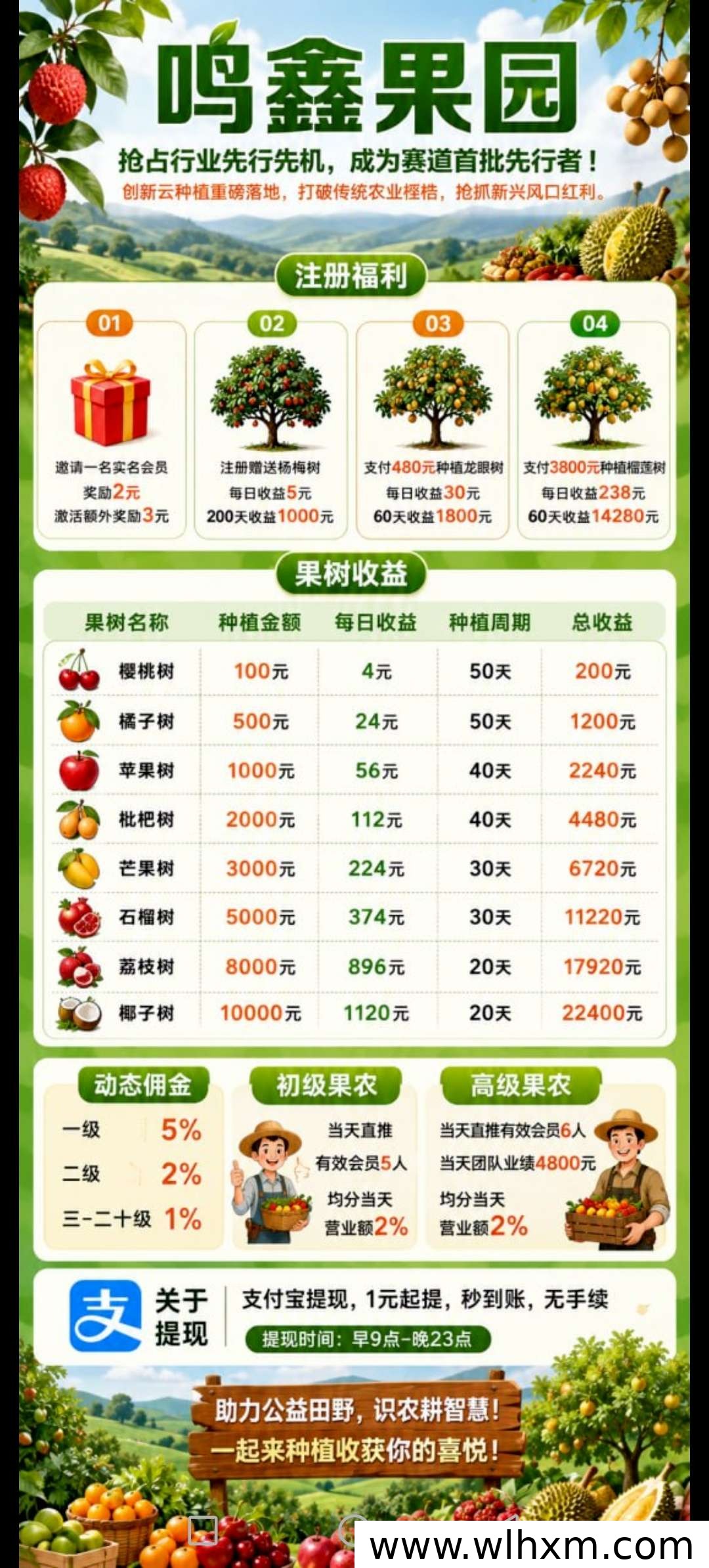 鸣鑫果园新手零投入签到指南,每天轻松领收益
