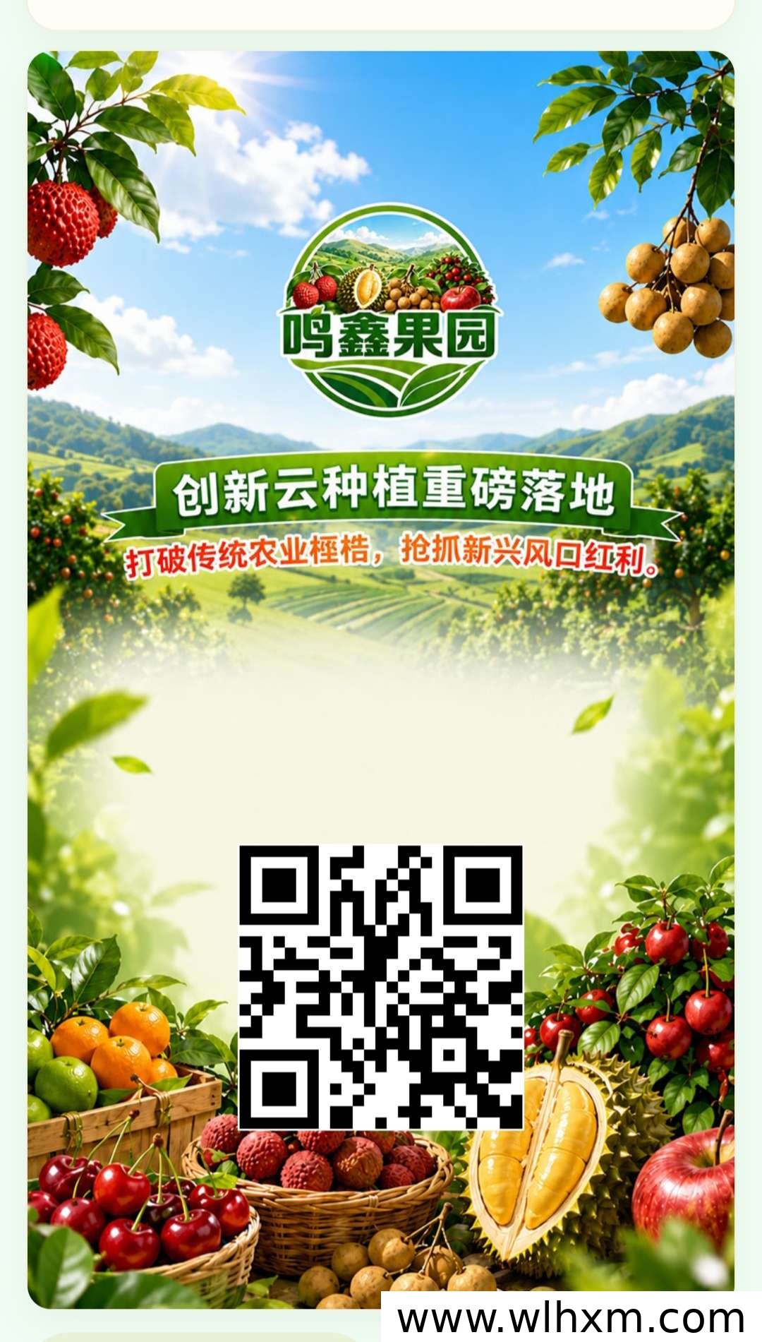 鸣鑫果园首码上线 注册即送杨梅树