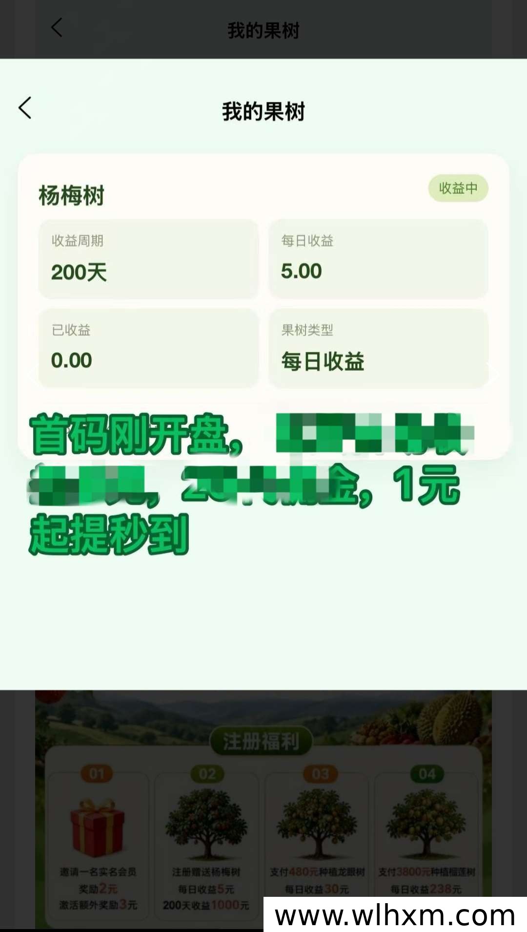 鸣鑫果园首码上线 注册即送杨梅树