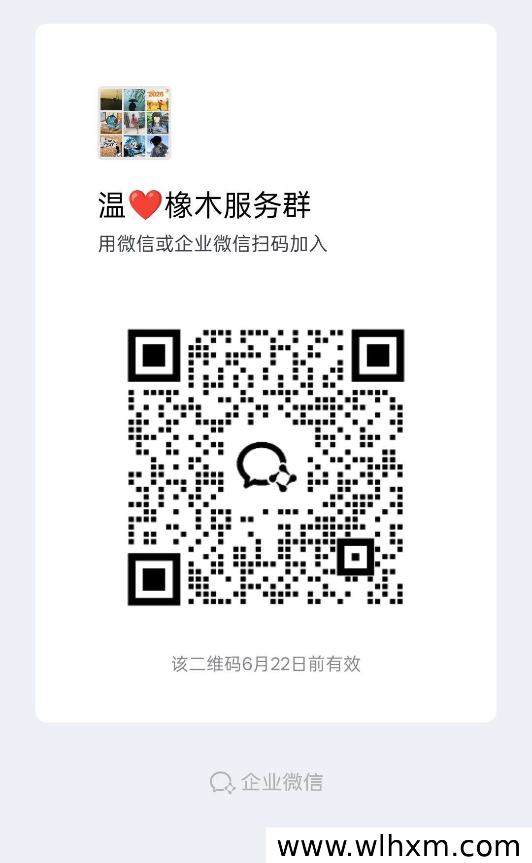 财富新机遇:四圣项目如何助力团队快速成长