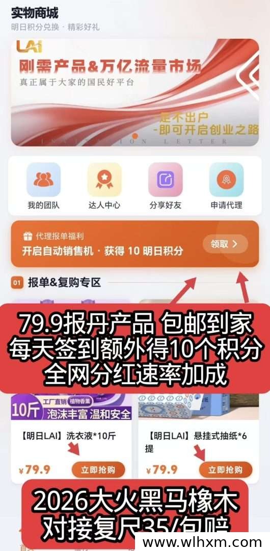 明日LAI平台解析:如何轻松实现长期收益