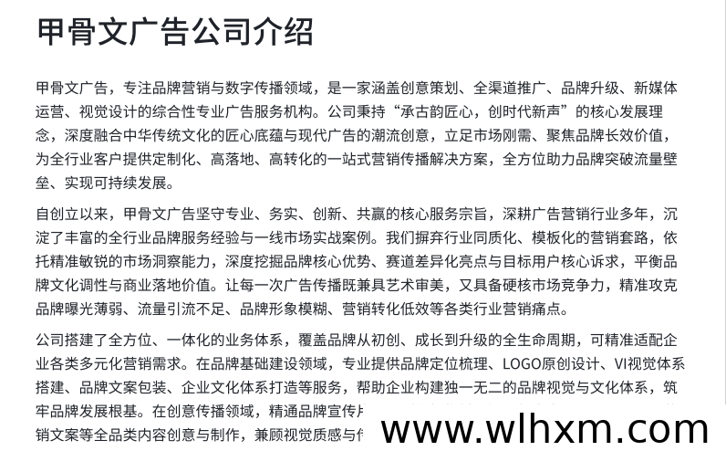 专业数字广告服务商甲骨文广告公司发展历程与业务解析