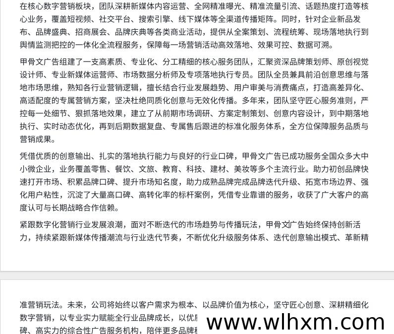 专业数字广告服务商甲骨文广告公司发展历程与业务解析