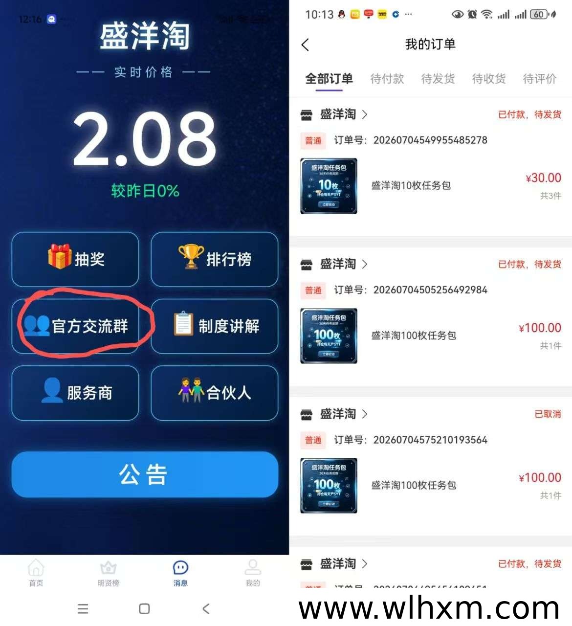 盛洋淘零撸新玩法:长期收益与团队推广双赢