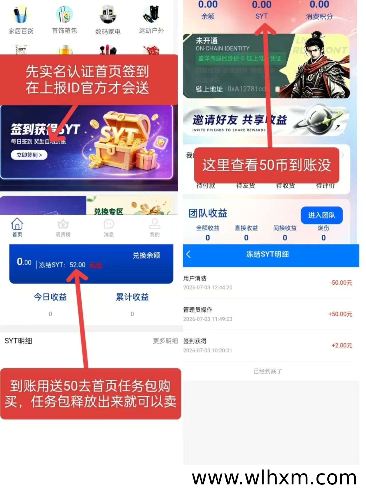 盛洋淘零撸新玩法:长期收益与团队推广双赢