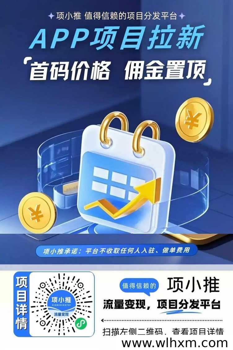 项小推邀请码最新发布 网盘拉新项目的高效变现入口