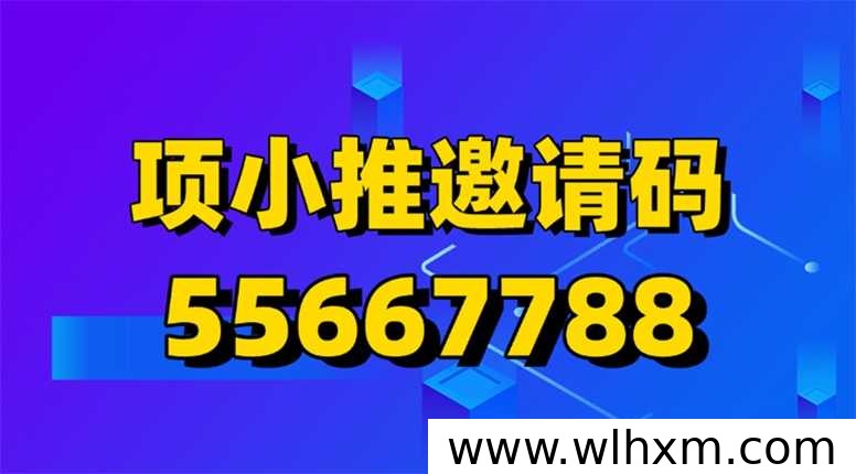 项小推邀请码最新发布 网盘拉新项目的高效变现入口