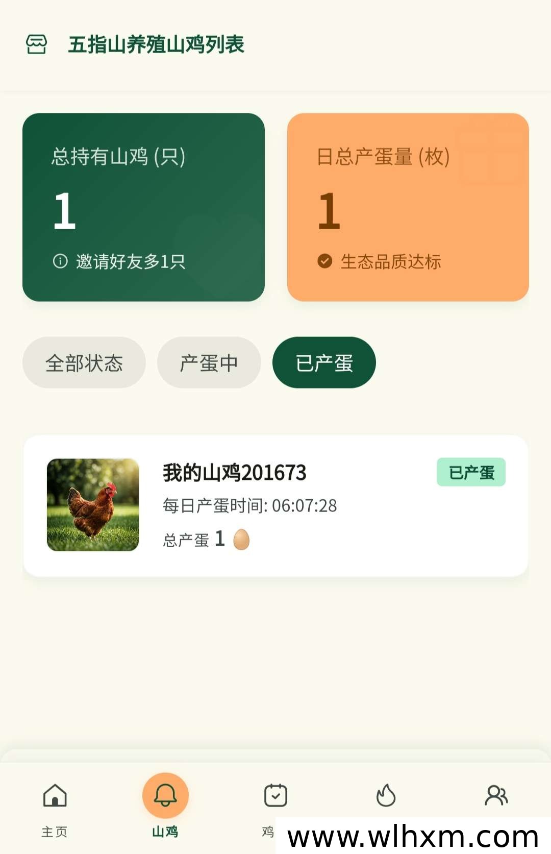 五指山山鸡养殖合作项目 每日鸡蛋回收收益稳定