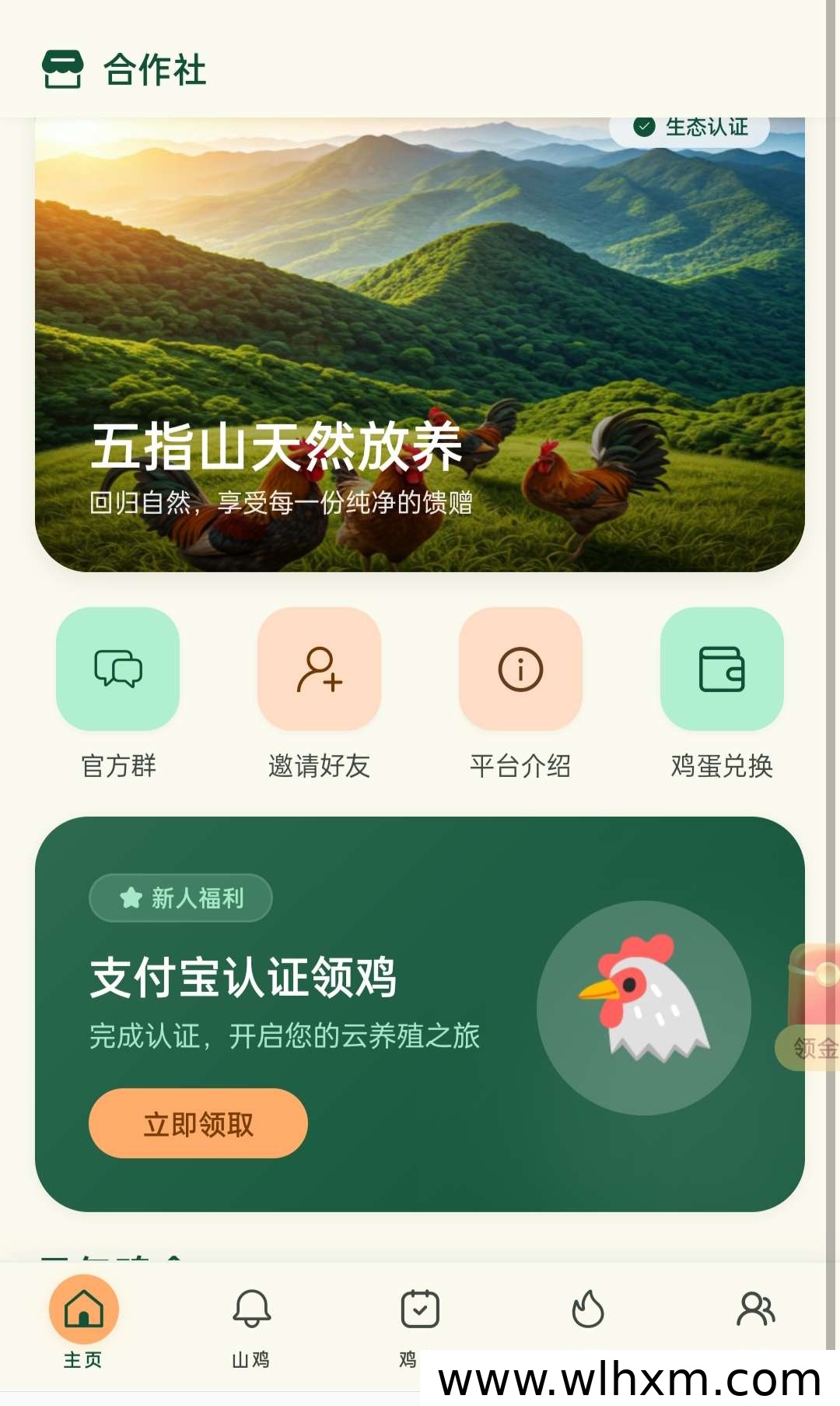 山鸡养殖合作项目 免费领鸡 官方包回收