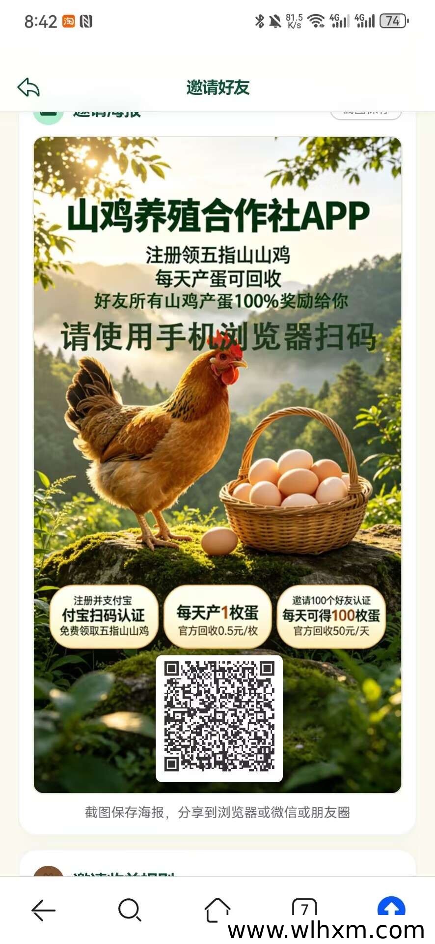 山鸡养殖合作项目:轻松参与每日产蛋回收