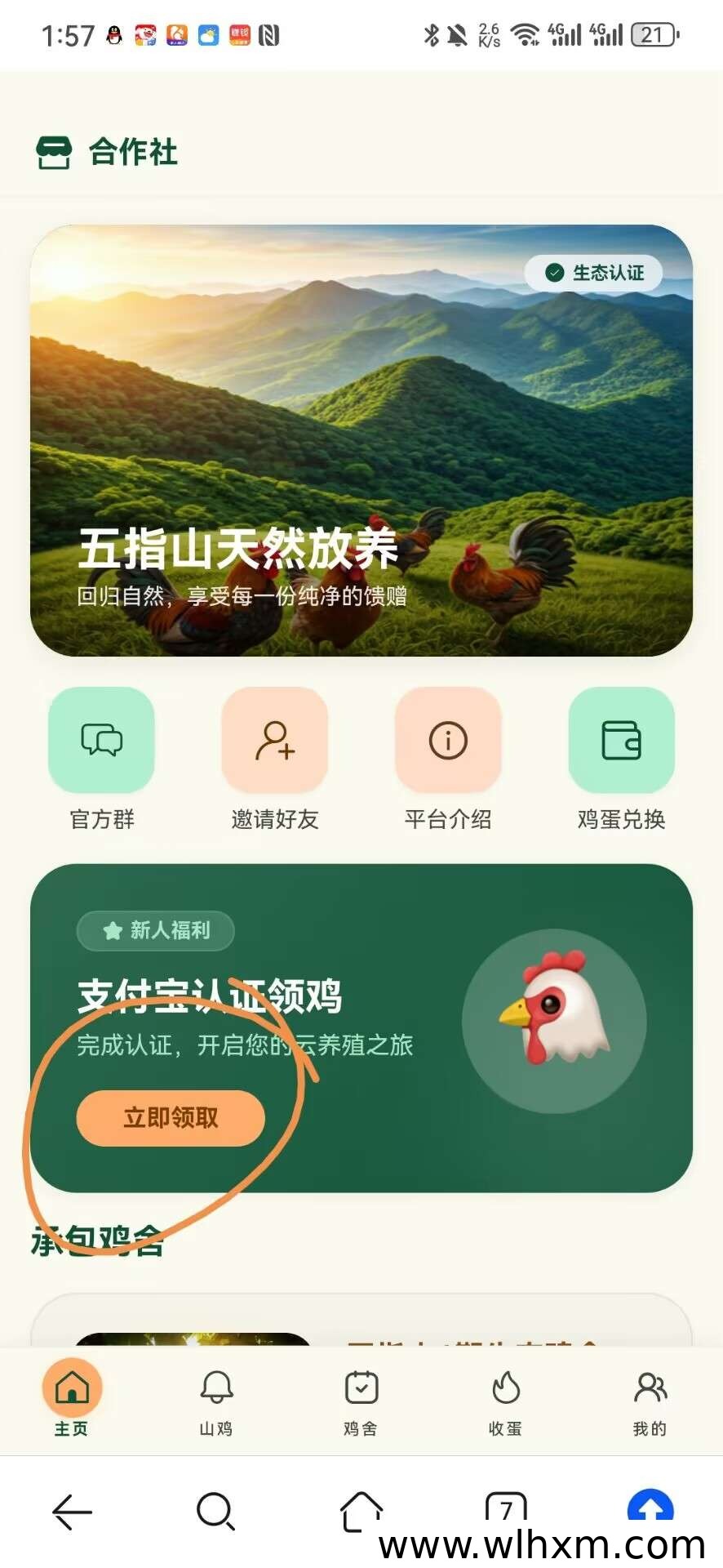 山鸡养殖合作项目:轻松参与每日产蛋回收
