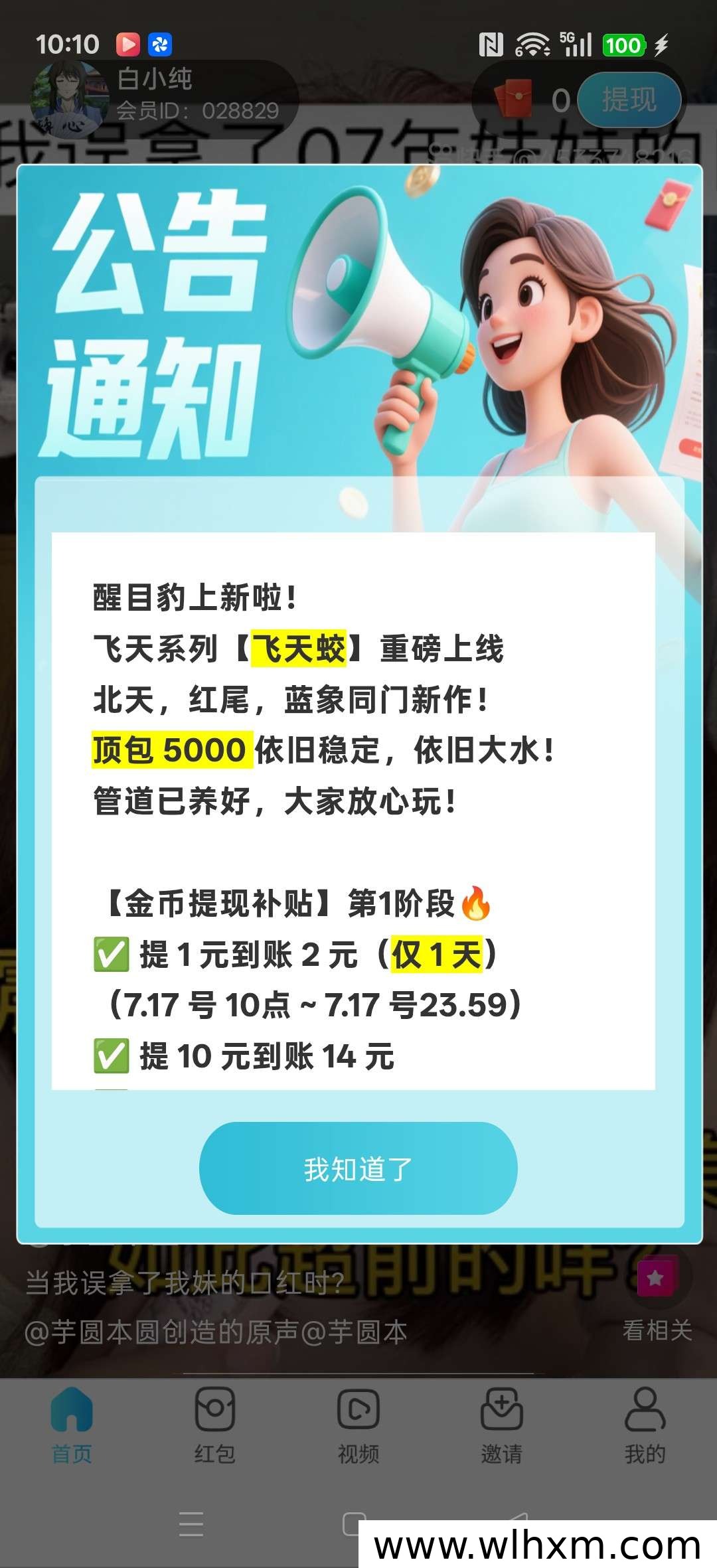 飞天蜂上线邀请福利 零门槛参与收益稳定