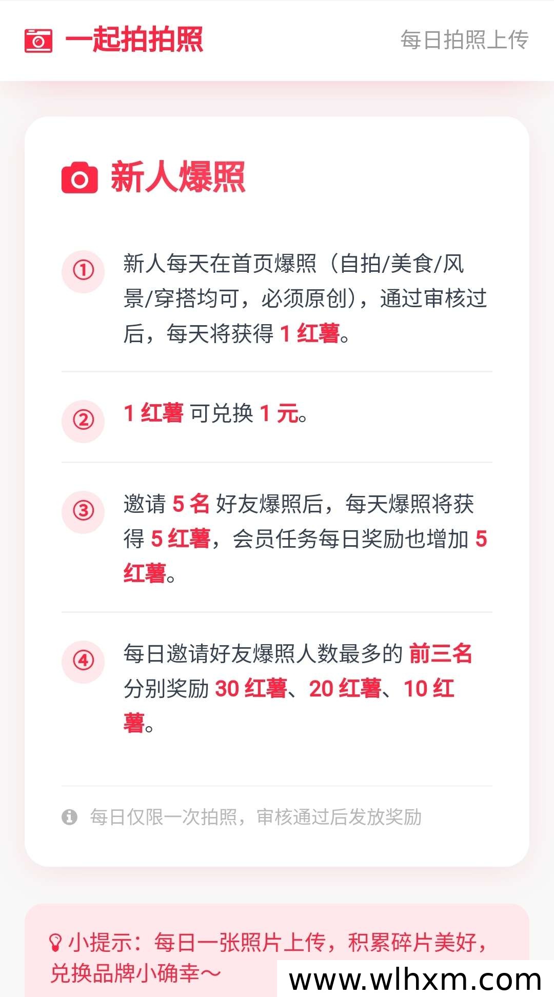 每日上传照片轻松赚取收益 新平台上线