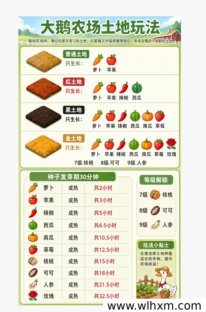 大鹅农场即将上线,零门槛种地赚收益新玩法