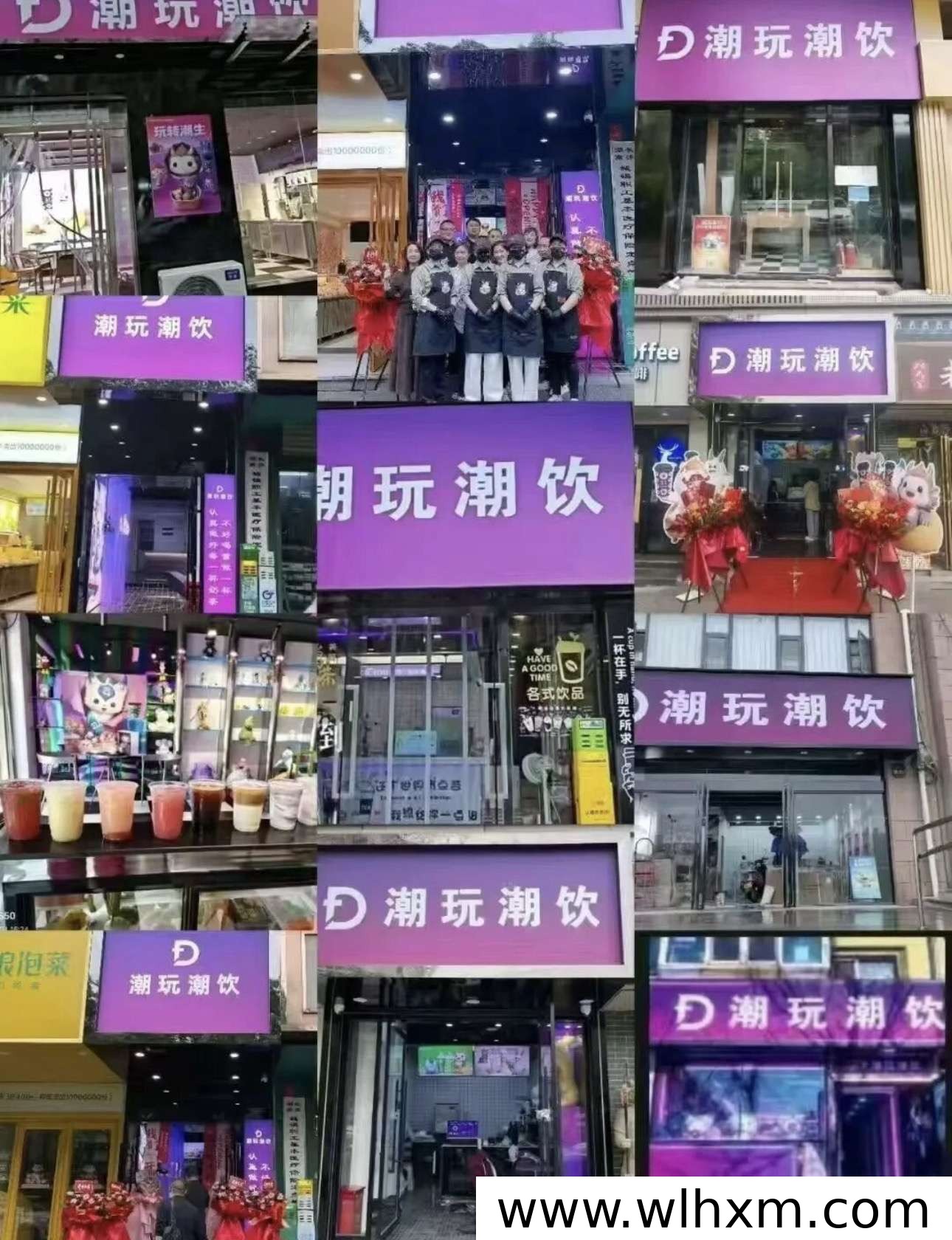 元宠东方潮玩平台深度解析:长期价值与稳健收益路径