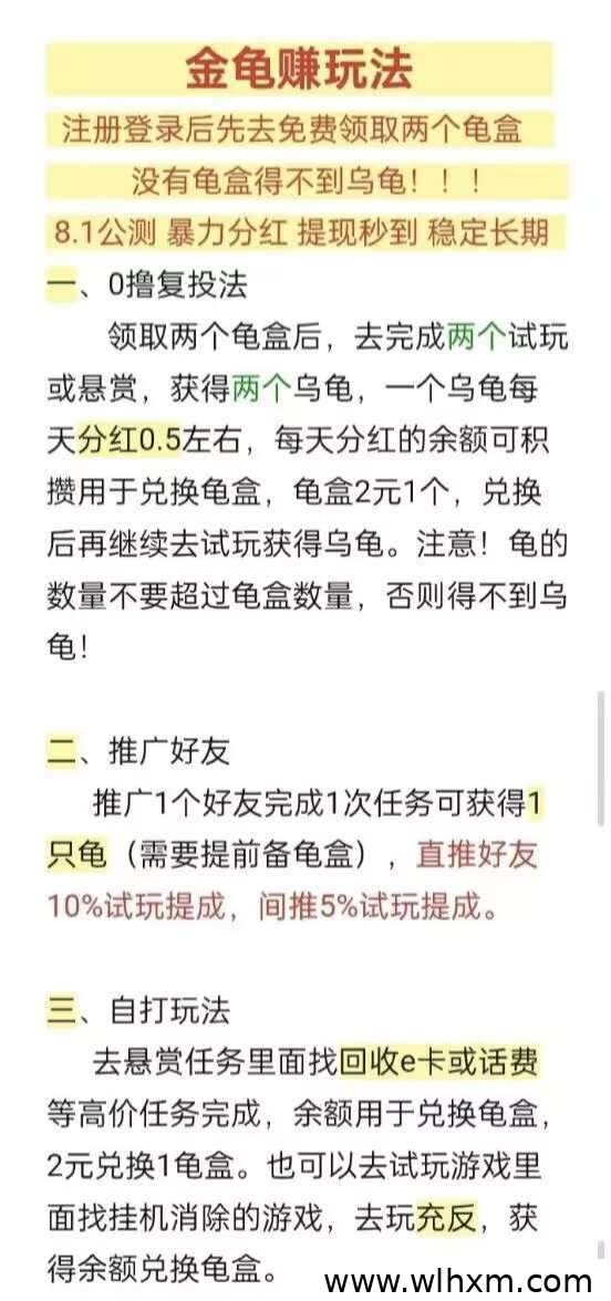 金龟赚零撸新项目评测:上线三天即受关注,收益潜力值得了解