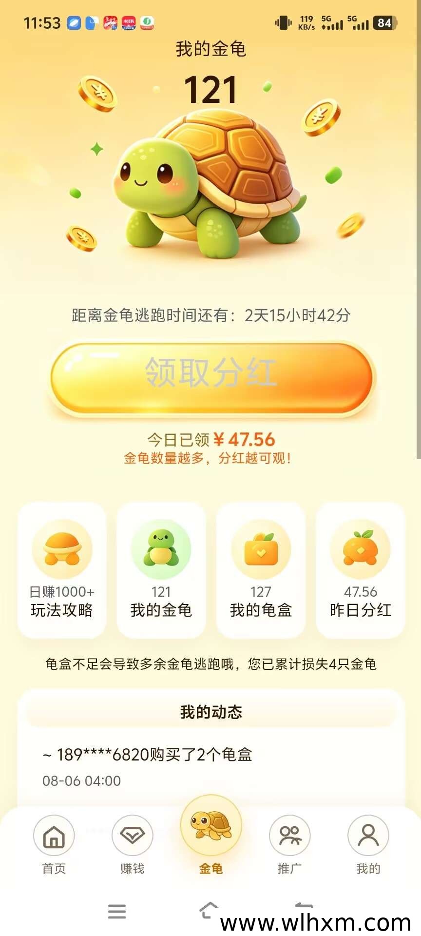 金龟赚全新上线,零门槛玩转碎片时间收益