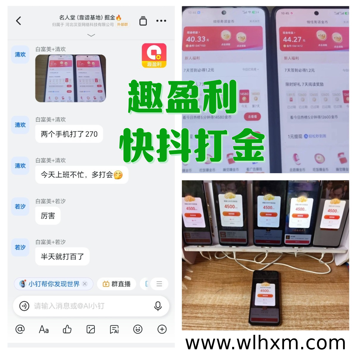 趣盈利掘金计划:普通人也能轻松上手的稳定副业选择
