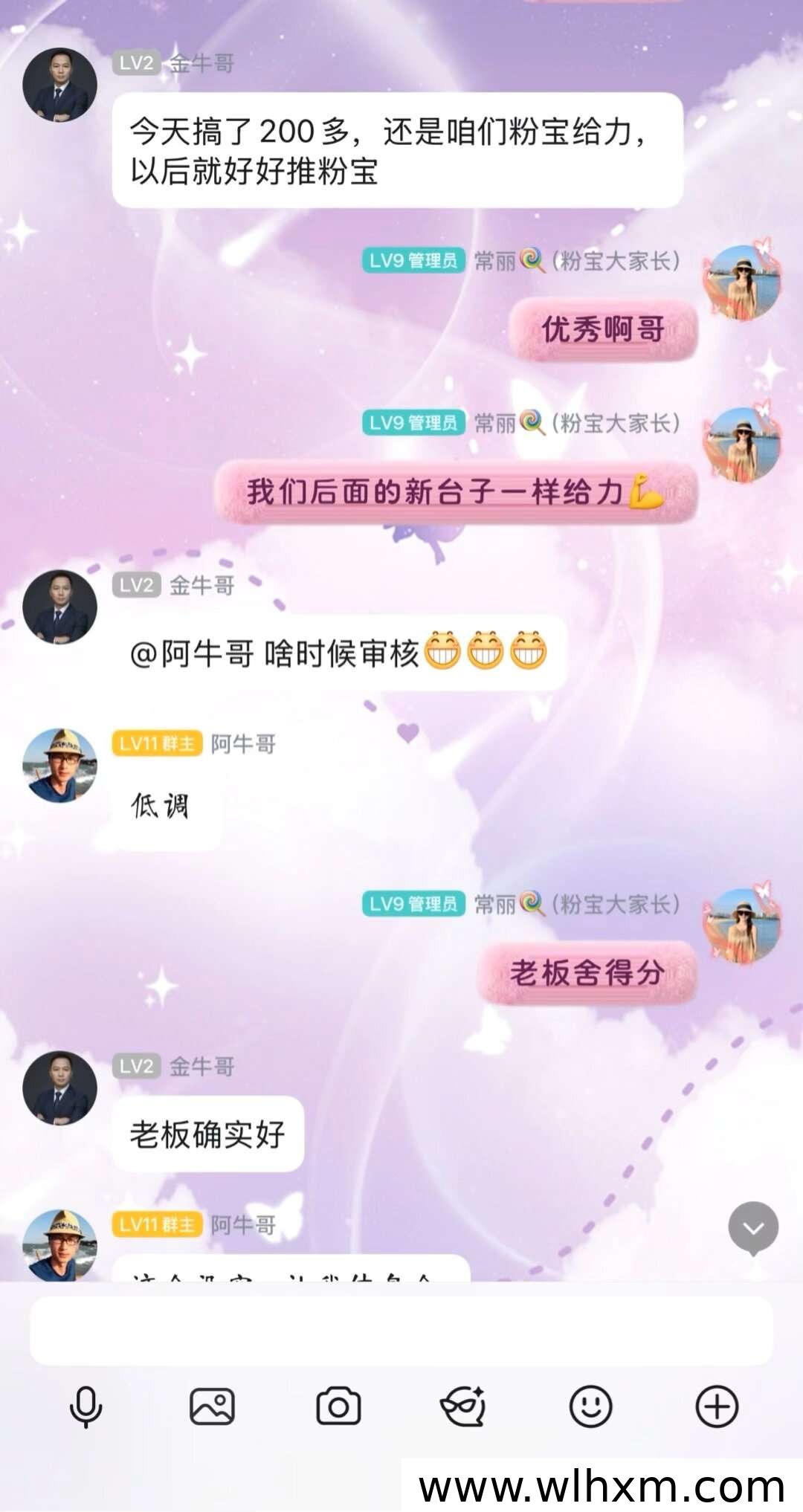 粉宝港湾挂机模式实测:稳定日收益与团队玩法深度解析