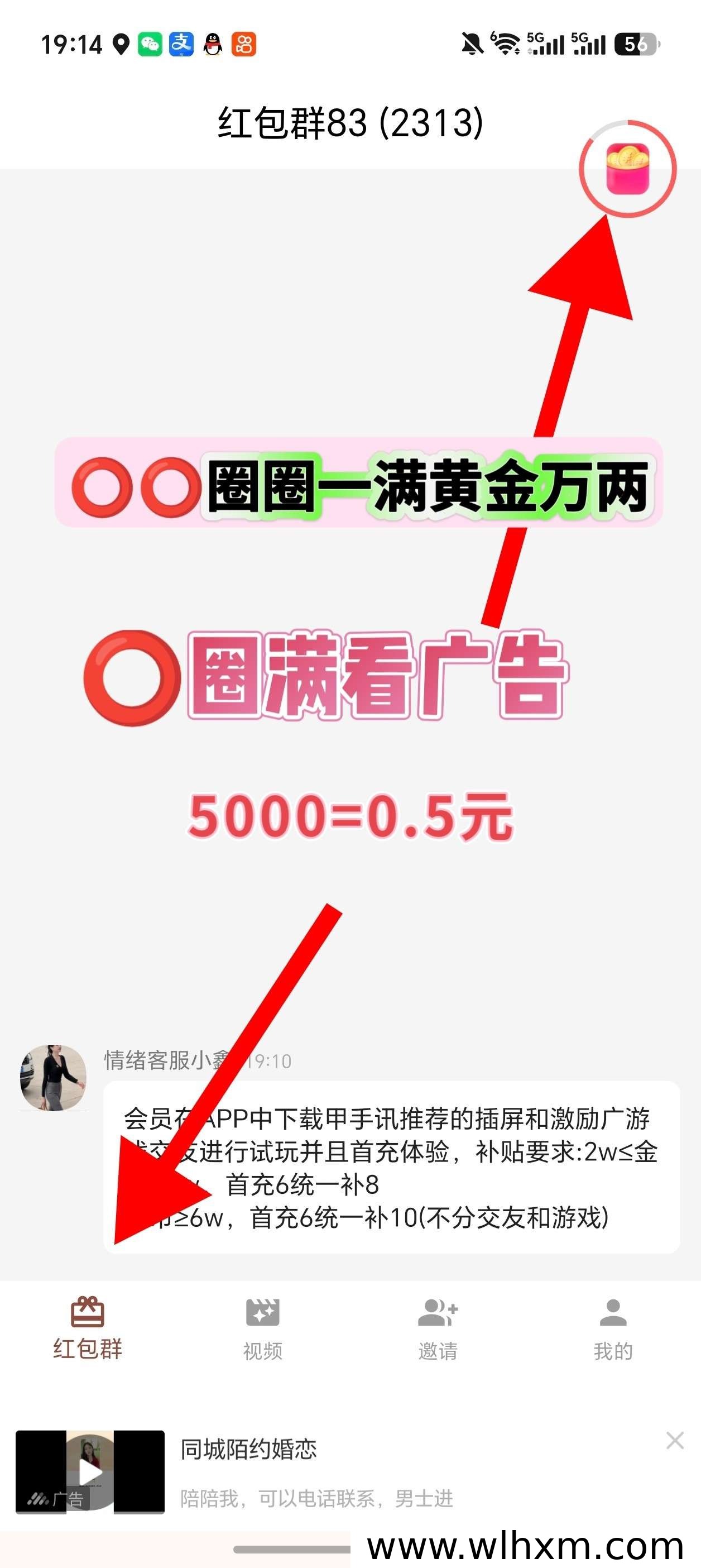 情绪盈新项目上线:零门槛体验与稳定收益解析