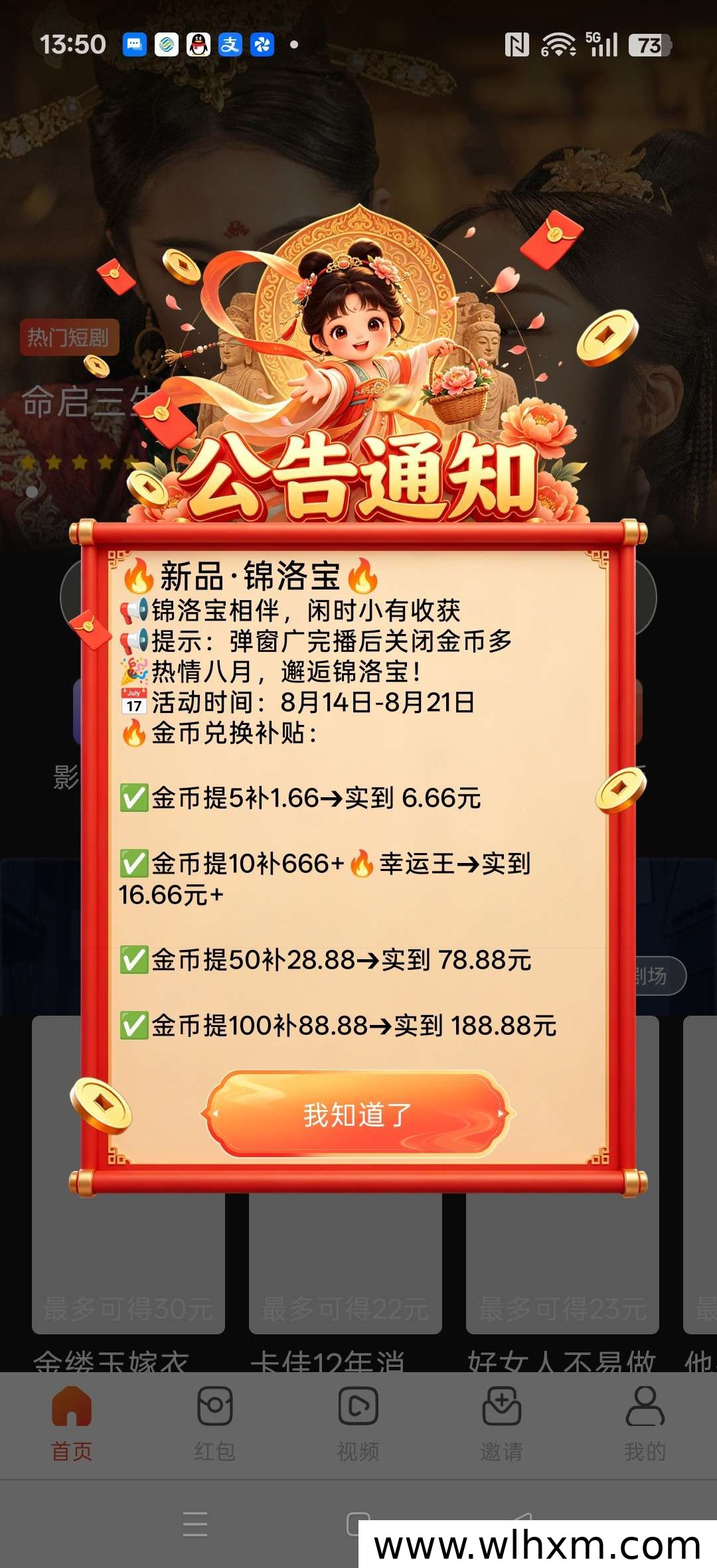 锦洛宝新品上线,零门槛体验与稳定收益玩法解析