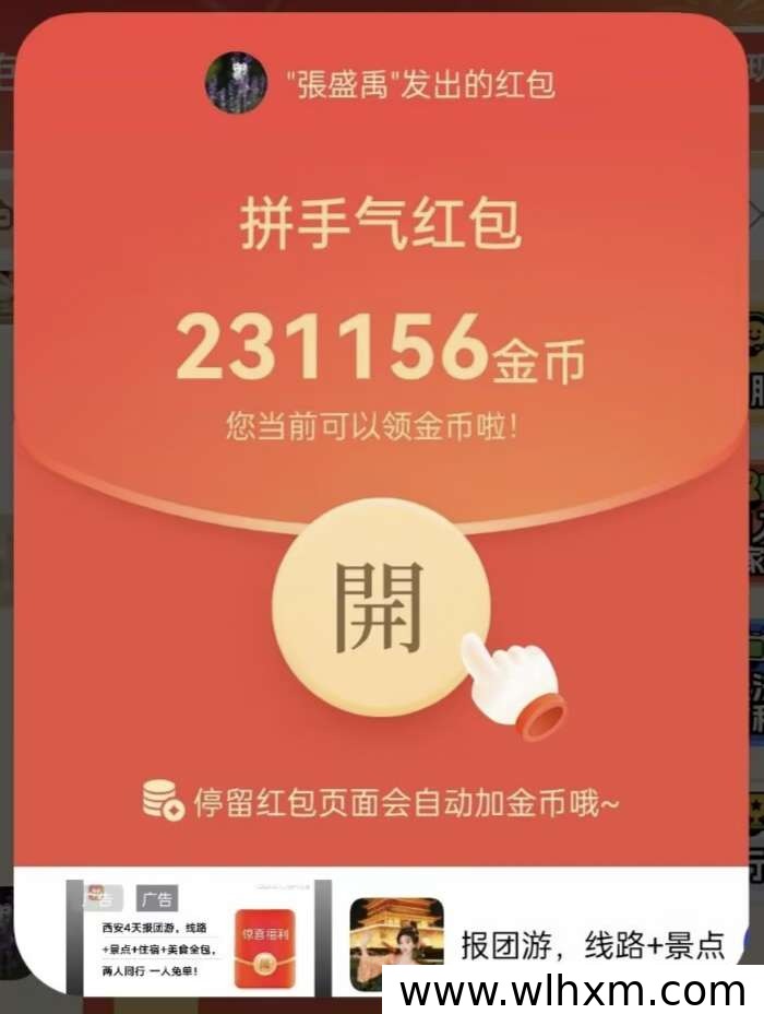 红包等级权益全解析,了解你的收益空间