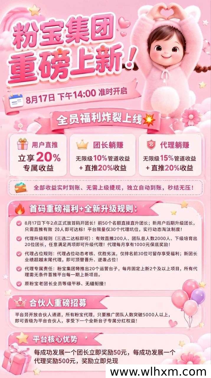 粉宝众旺挂机看广告项目深度评测:团队扶持政策与玩法详解