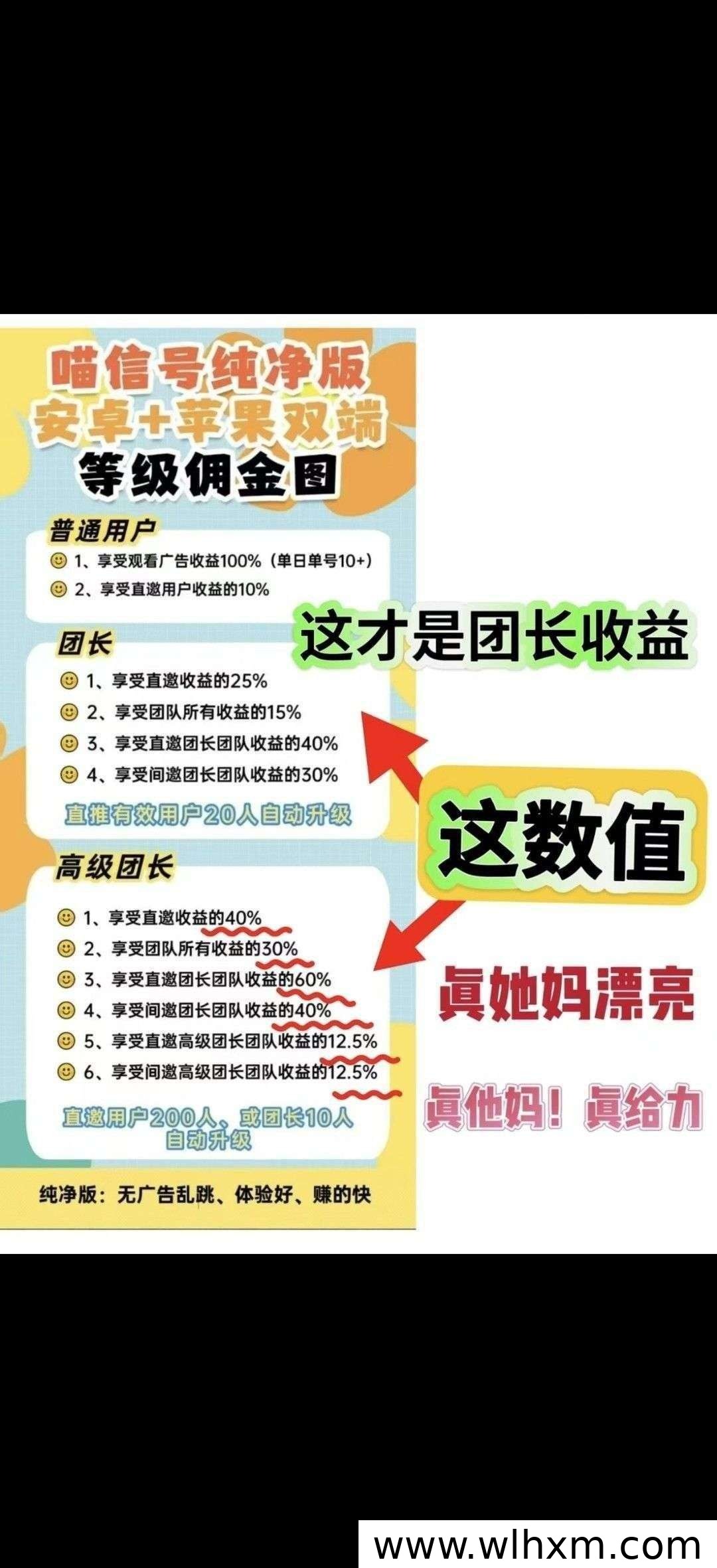 喵信号新版本上线,零门槛看广告赚收益