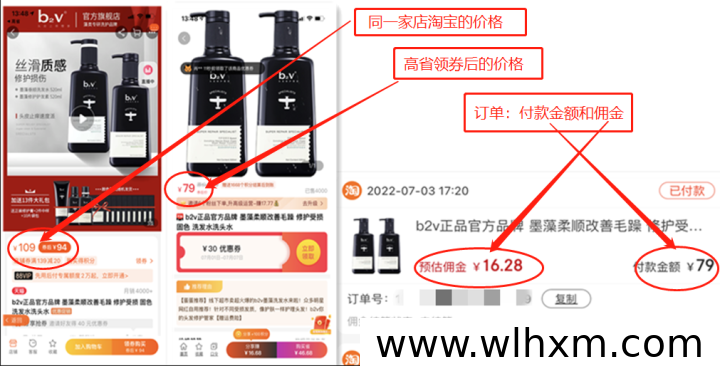 2025年普通人互联网创业避坑指南:四条稳健可行的赚钱路径
