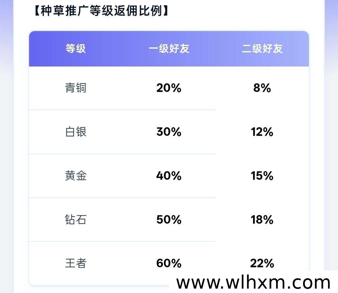 云客仓:多平台视频分发新选择,轻松开启副业增收