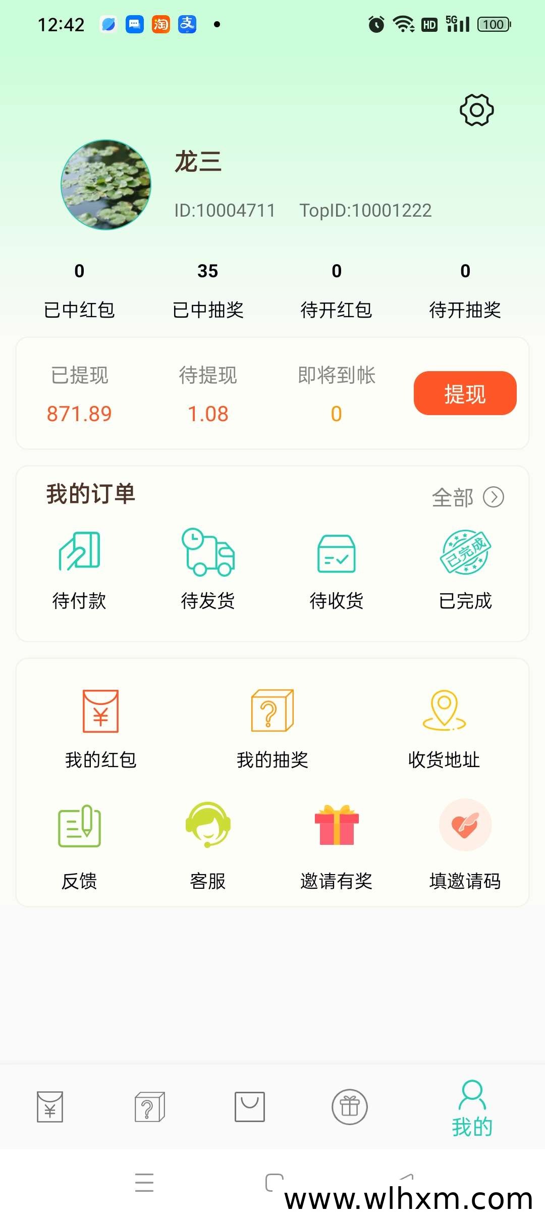 小小番茄：看广告赚零花，自动收益新选择