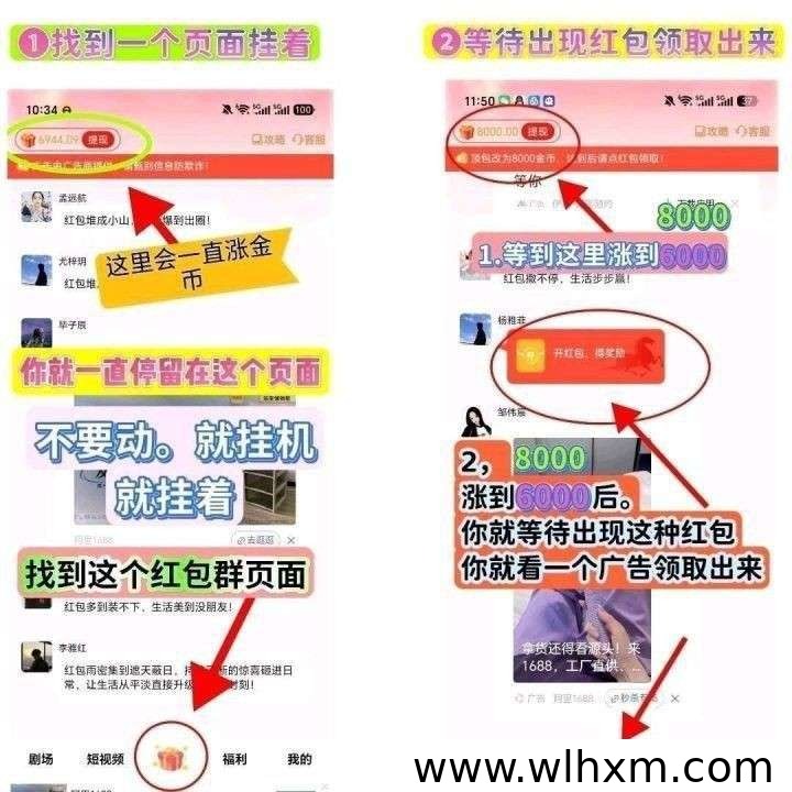 粉宝乐园零撸玩法解析：自动涨金币与收益新选择