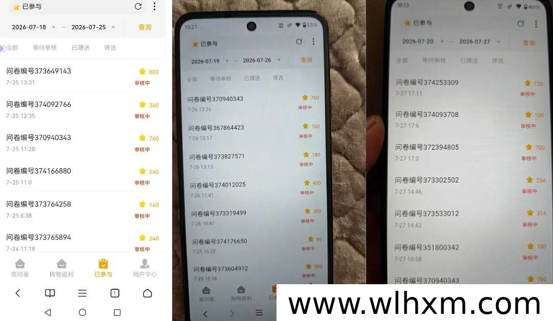 问卷答题副业新选择：稳定运行多年的平台如何带来每日收益